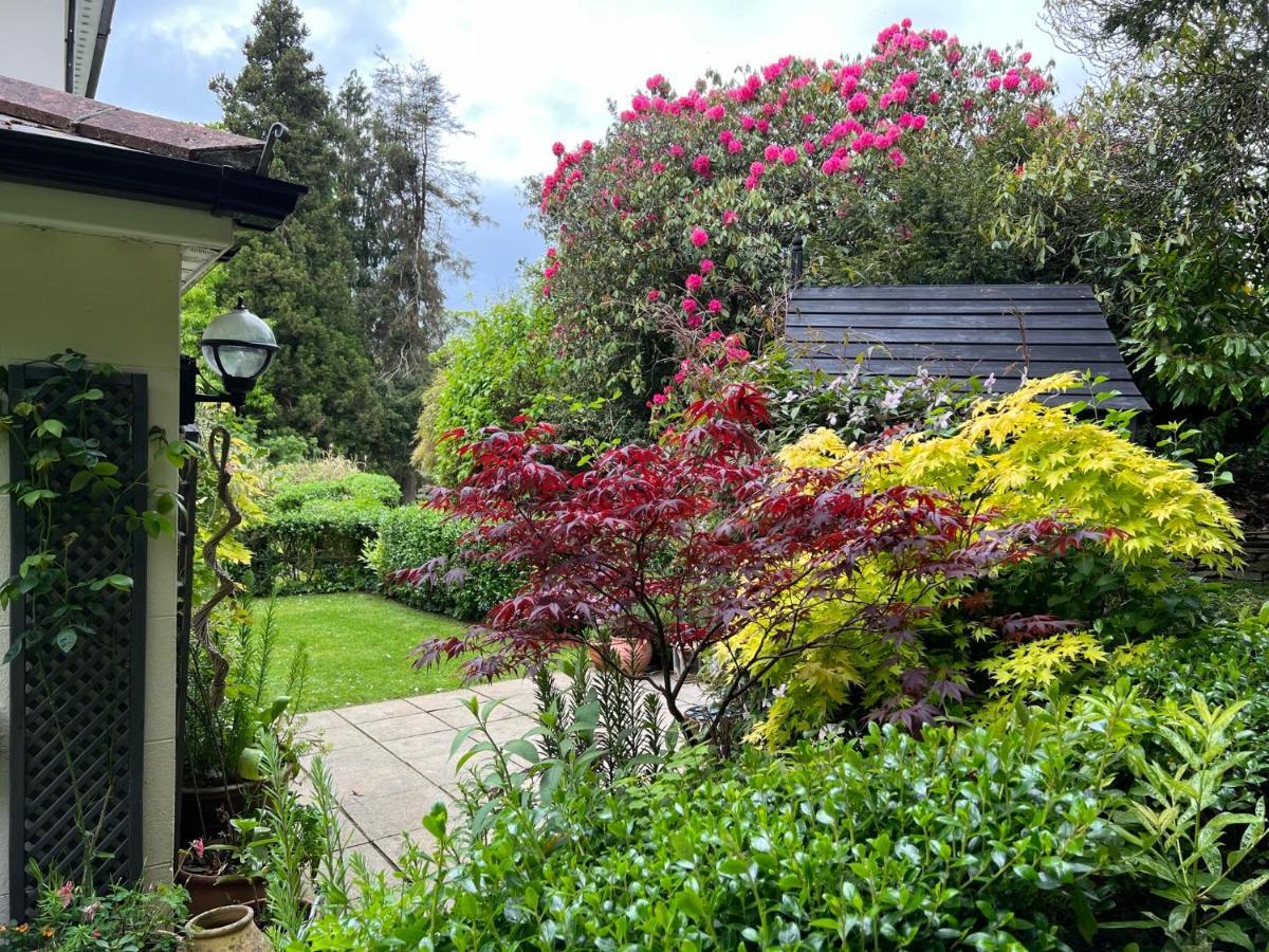 Hollyhocks Holiday Home- 2 Bedroomed Ground Floor Apartment Sleeps 5 Ivybridge Dış mekan fotoğraf