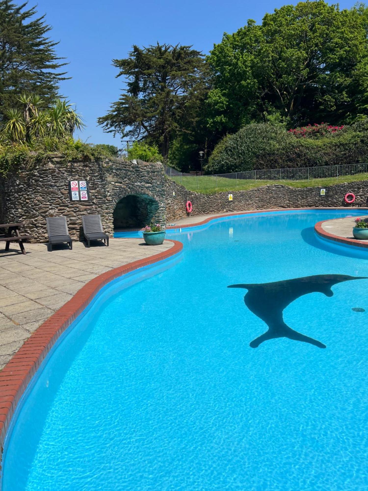 Hollyhocks Holiday Home- 2 Bedroomed Ground Floor Apartment Sleeps 5 Ivybridge Dış mekan fotoğraf